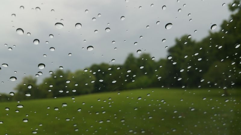 nature-grass-droplet-drop-dew-meadow-sunlight-morning-rain-leaf-green-park-weather-outdoors-drops-moisture-rain-drops-547845.jpg